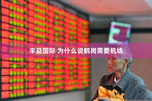 丰益国际 为什么说鹤岗需要机场