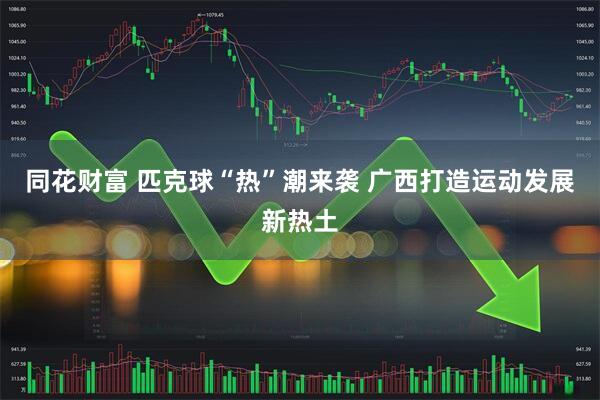 同花财富 匹克球“热”潮来袭 广西打造运动发展新热土