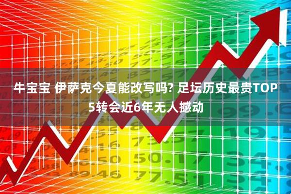 牛宝宝 伊萨克今夏能改写吗? 足坛历史最贵TOP5转会近6年无人撼动