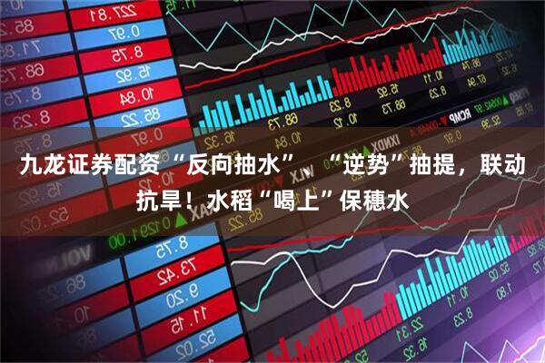 九龙证券配资 “反向抽水”、“逆势”抽提，联动抗旱！水稻“喝上”保穗水