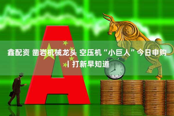 鑫配资 凿岩机械龙头 空压机“小巨人”今日申购丨打新早知道