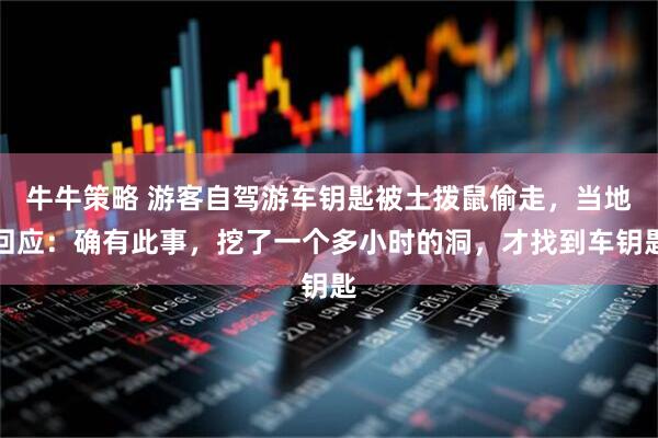 牛牛策略 游客自驾游车钥匙被土拨鼠偷走，当地回应：确有此事，挖了一个多小时的洞，才找到车钥匙