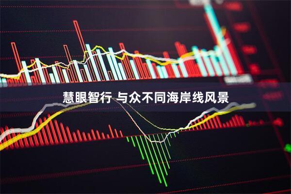 慧眼智行 与众不同海岸线风景