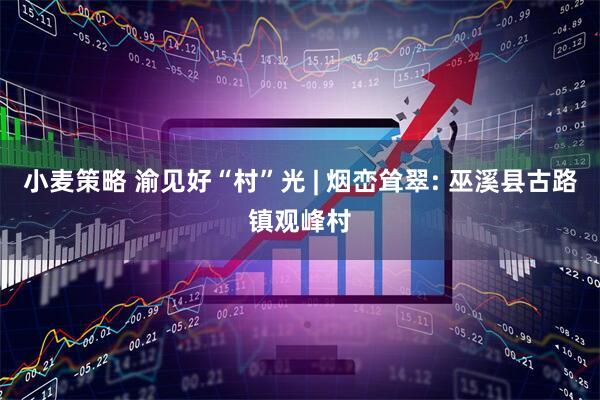 小麦策略 渝见好“村”光 | 烟峦耸翠: 巫溪县古路镇观峰村