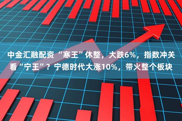 中金汇融配资 “寒王”休整，大跌6%，指数冲关看“宁王”？宁德时代大涨10%，带火整个板块
