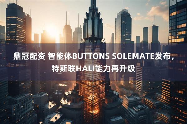 鼎冠配资 智能体BUTTONS SOLEMATE发布，特斯联HALI能力再升级